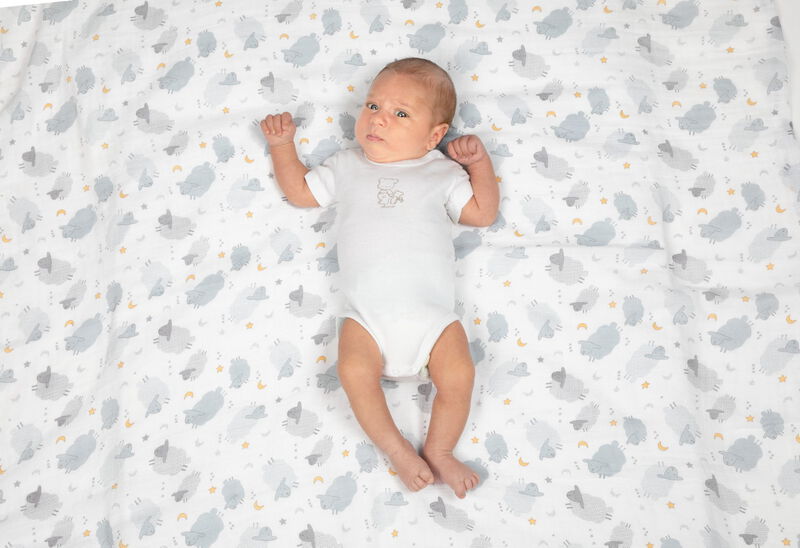 Swaddles Set 2Pcs Bear & Grey Sheep image number 2